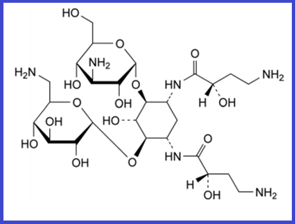 AMIKACIN EP IMPURITY B